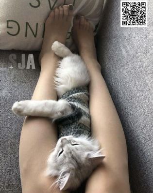 亚洲日韩在线一区二区三区_国产剧HD高清在线观看