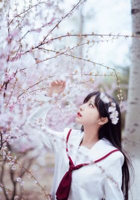 一本清日本在线视频精品_DVD电影免费在线